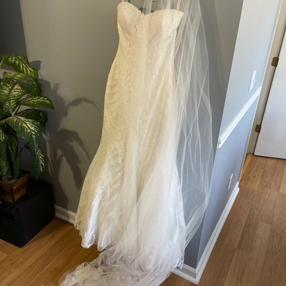 Designer Wedding Dress - Picture 6 of 7